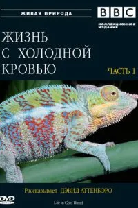 BBC: Жизнь с холодной кровью